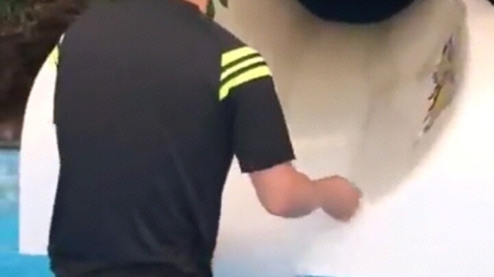 Cita-citaku ingin menjadi penjaga kolam renang 🍑🍑🍑