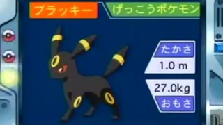 オーキド博士のポケモン講座(ブラッキー)