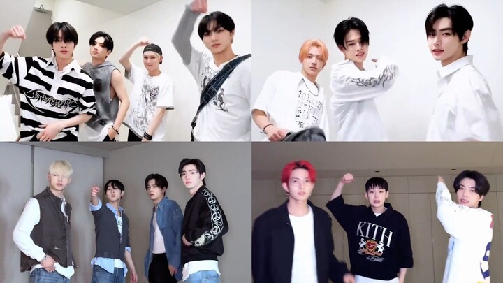 Berapa kali lagi ENHYPEN harus berkelahi? Tuan muda sudah membentuk geng