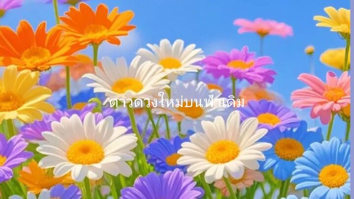 ดาวดวงใหม่