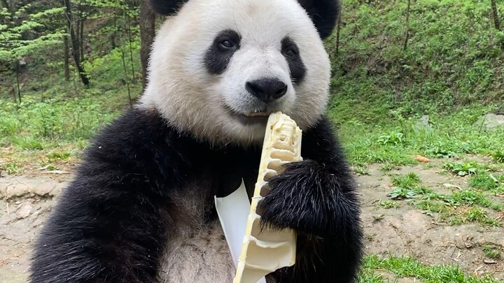 Ăn chút gì ngon