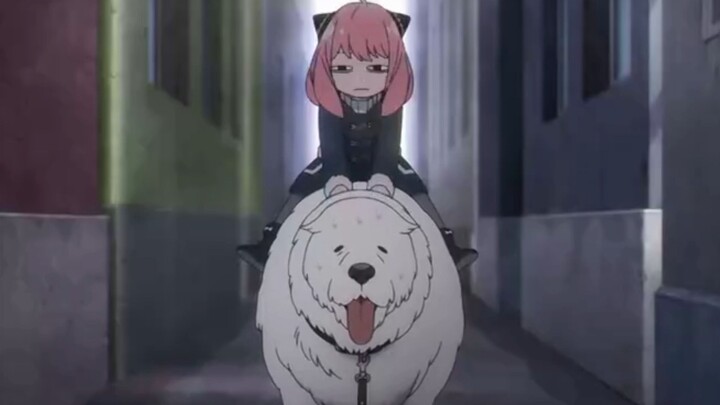 The dog saving Aniya is pretty cool, but his IQ is not good enough