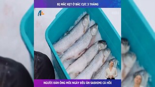 Người Đàn Ông Bị Mắc Kẹt Ở Bắc Cực 3 Tháng Mỗi Ngày Đều Ăn Sashimi-Review Con Người Và Cuộc Sống