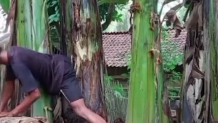 dami Kong tawa dito😂