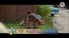 M Showbiz พบกับตัวอย่างภาพยนตร์สุดชีวิต "A Dog's Purpose" วันพุธที่ 5 พ.ย. เวลา 18.20 น.