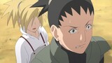 Shikamaru and Temari First Date Goes Wrong & Lee and Kankuro Funny Moments in Naruto's Wedding day