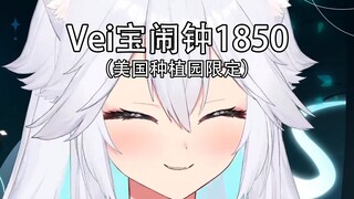 【熟肉/Veibae】美国南部一分钟体验卡