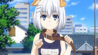 同时被十个女生喜欢是一种什么体验？