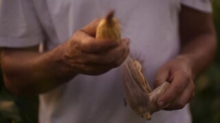 Động Vật Ăn Tạp - Omnivore EP 8 [Sub Việt]