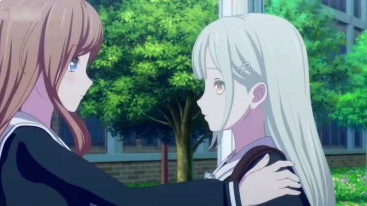There are many signs in Tsuki no Mori, are they real or fake? Soyo said