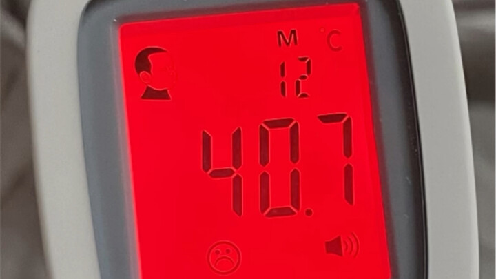 Nhà tôi có hai con cừu: một con ăn gì cũng ngon, còn một con thì nói linh tinh, chẳng phân biệt được