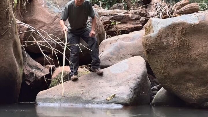 Episode 3 of the Borneo Rainforest Survival Expedition: Building a rat trap and catching bamboo rats