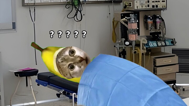当你去医院讨价还价时 #搞笑 #猫meme #万万想不到 #逆天