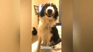 Các cậu vàng siêu đáng yêu #meme