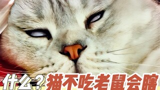 猫不吃老鼠会瞎？！