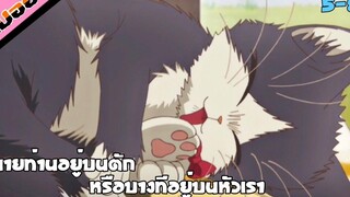 นักเขียนที่รับแมวจรจัดมาเลี้ยง คาวาอี้ เรื่อง นายท่านอยู่บนตักหรือบางทีอยู่บนหัวเรา ตอนที่ 5-8