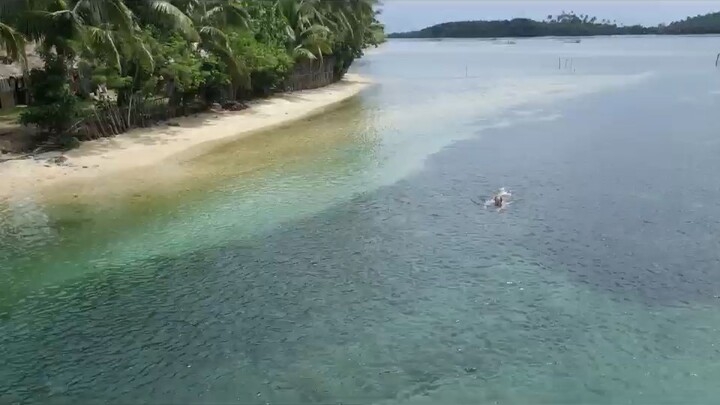 能力有限  恩典无限  在任何一个领域里 坚持做到 努力 深耕 利他 你想要的一定会不期而遇！共勉🌞