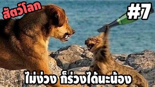 Ep.7 สัตว์โลกกวนตีน - [ พากย์นรก ] | easy boy