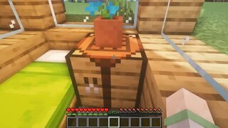 Newbies can also build