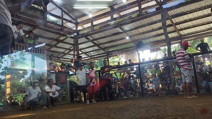 Claret x Lemon 84 vs Talisayin