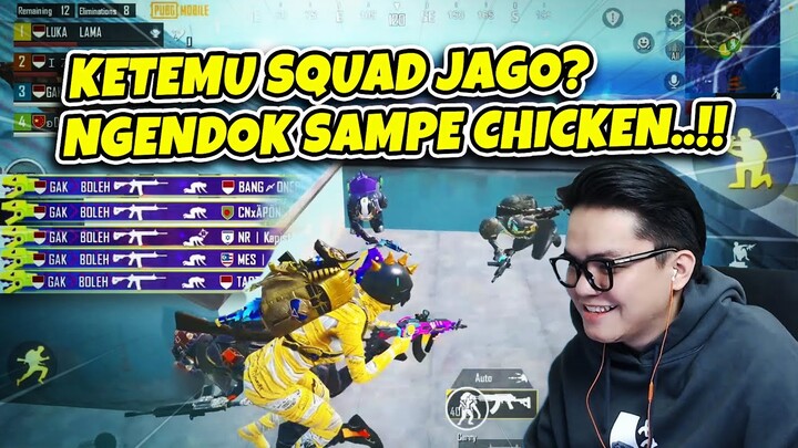 Ketemu Squad Jago? Ngendok Sampe Chicken | PUBG Mobile