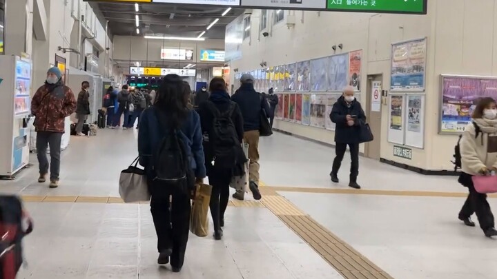 [Green Pig] Running 300 kilometers on a snowy night, I will take you to Kanazawa to find Mai!