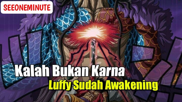 Inilah Fakta Sebenarnya Kaido Kalah Dari Luffy || One Piece