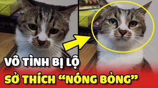 Chiếc mèo vô tình bị lộ SỞ THÍCH NÓNG BỎNG khi Sen vắng nhà 😂 | Yêu Lu
