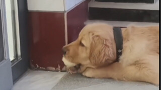 غير عادل، لقد جاء من تلقاء نفسه