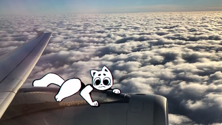 [Phim hoạt hình ngắn] Khi bạn lỡ chuyến bay