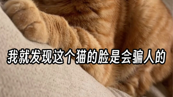 I’ve noticed a pattern in this cat’s appearance and personality.