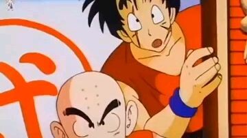 Goku proposal to chichi