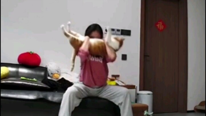 Trạng thái tinh thần của người nuôi mèo