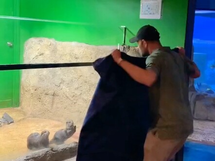 อีโม ลูกนาก