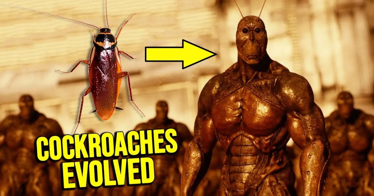 COCKROACHES SENT TO MARS EVOLVE AFTER 400 YEARS AND EAT HUMANS | Movie  Recap - Bilibili