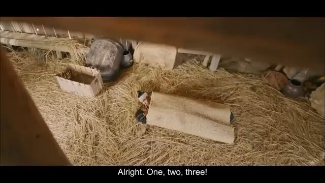 ๐ป๐๐ ๐ป๐๐๐๐๐๐๐
๐ท๐๐๐๐๐ Ep.04