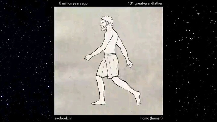 Human evo 40 secs animation