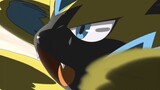 [MAD·AMV] A Tribute to Zeraora in Pokemon