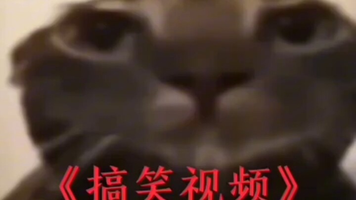 Khục khục khục