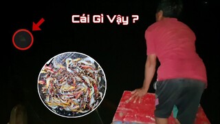 Te tôm cá, con nước đêm ''Gặp Sự Cố'' khi biển đang có đồ | Ngư Dân Miền Tây