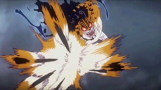 AMV FULL FIGHT ROBB LUCCI VS RORONOA ZORO