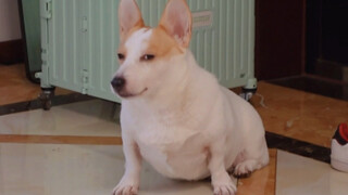 حتى بهذه الطريقة لا أستطيع التغلب عليك؟؟؟