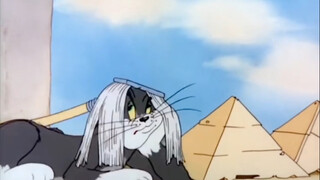 汤姆这发型哈哈哈