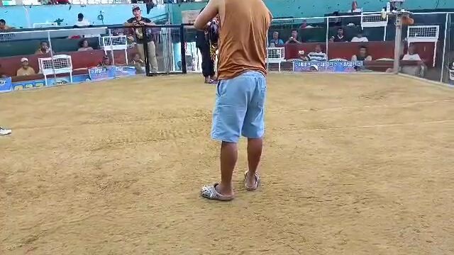 lemon win at Zamboanga