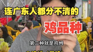สายพันธุ์ไก่ที่แม้แต่คนกวางตุ้งยังแยกแยะไม่ออก