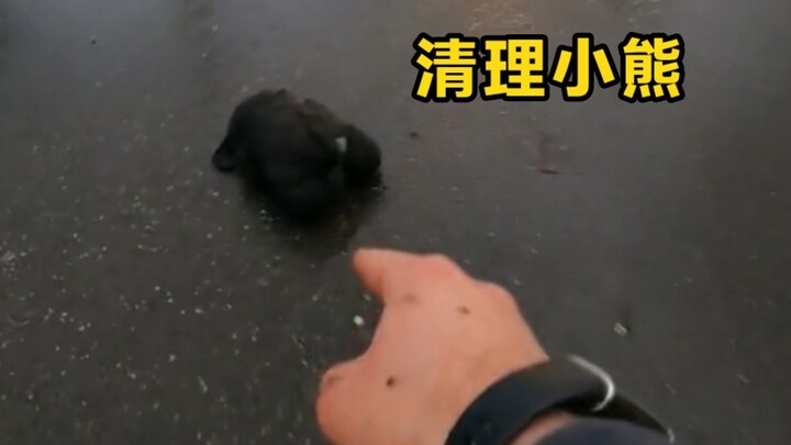 Gently clean the little bear