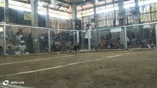 Win, Draw