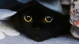 My duvet at home is so cute!