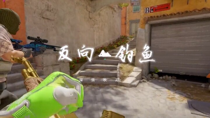 我才是那条鱼？？