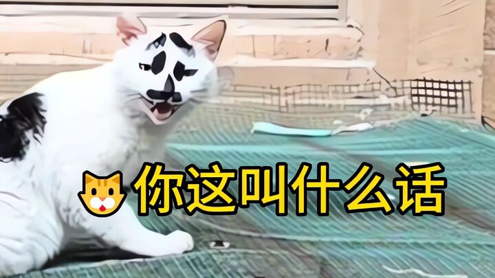 “有些小猫是边角料做的吧！”